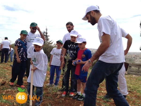 ludandyaffazaitoon (15).JPG